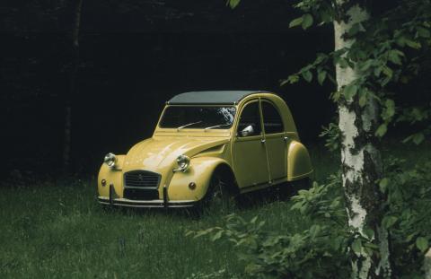 2cv_special_1976_jaune_cedrat.jpg